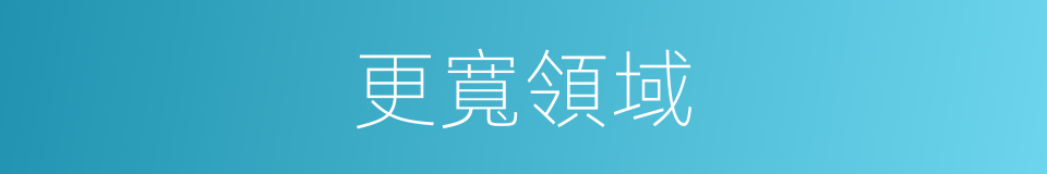 更寬領域的同義詞