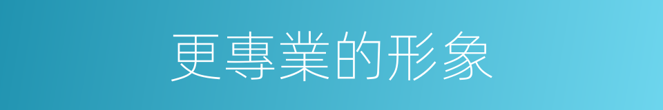 更專業的形象的同義詞
