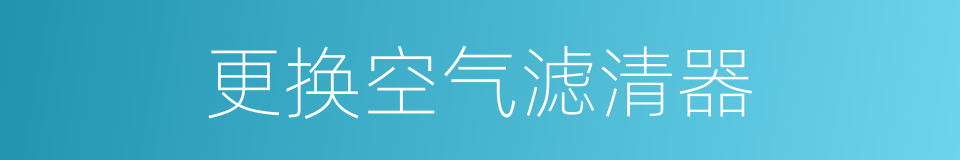 更换空气滤清器的同义词