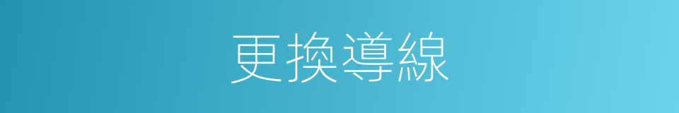 更換導線的同義詞