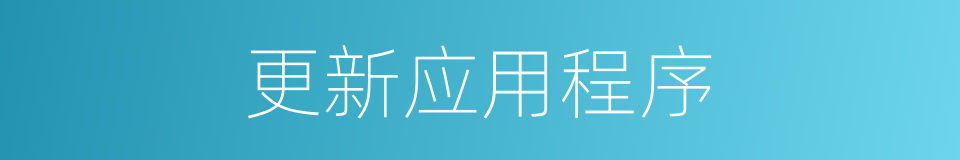 更新应用程序的同义词