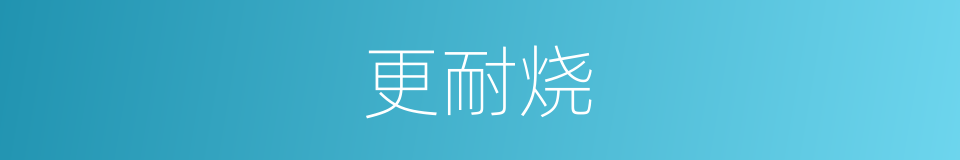 更耐烧的同义词