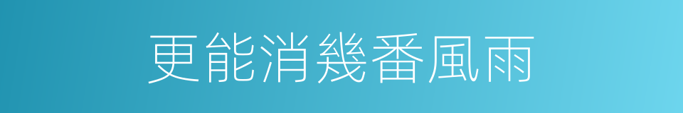 更能消幾番風雨的同義詞