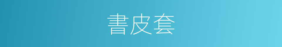 書皮套的同義詞