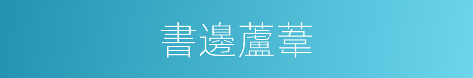 書邊蘆葦的同義詞