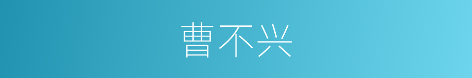 曹不兴的同义词