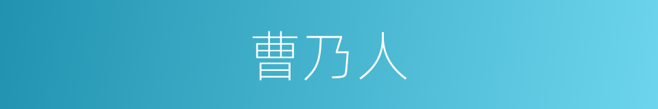 曹乃人的同义词