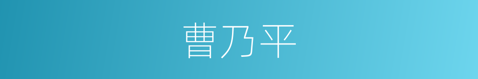 曹乃平的同义词