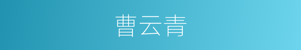 曹云青的同义词