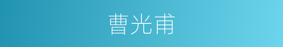 曹光甫的同义词