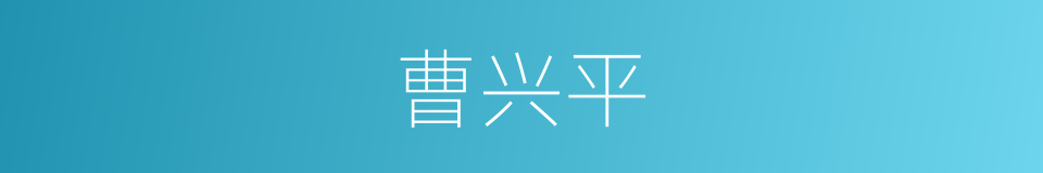 曹兴平的同义词