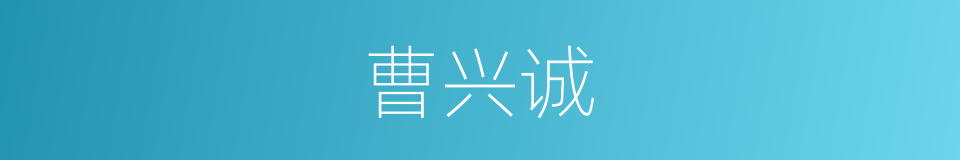 曹兴诚的同义词