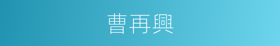 曹再興的同義詞