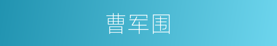 曹军围的同义词