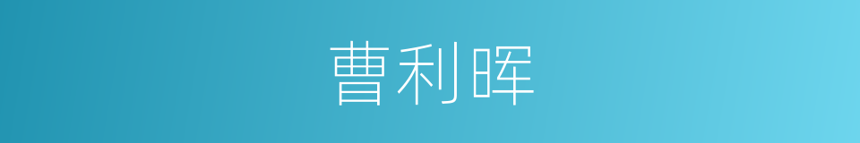 曹利晖的同义词