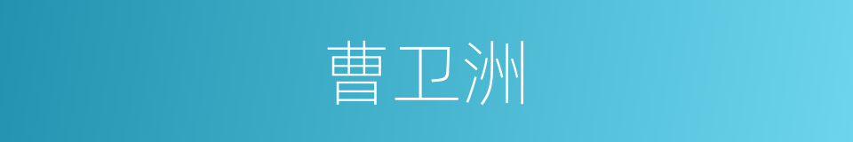 曹卫洲的同义词