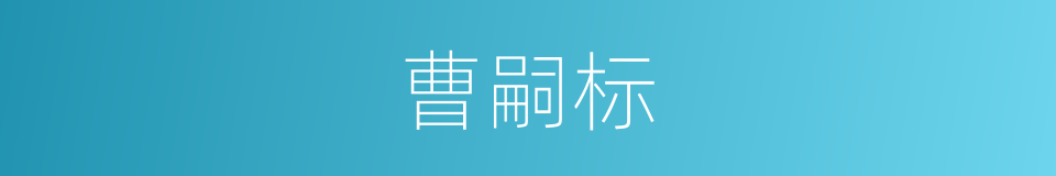 曹嗣标的同义词