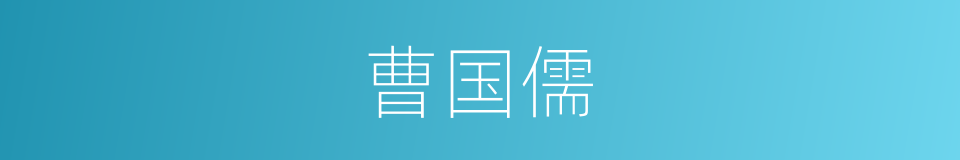 曹国儒的同义词