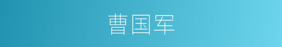 曹国军的同义词