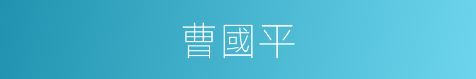 曹國平的同義詞