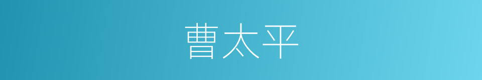 曹太平的同义词