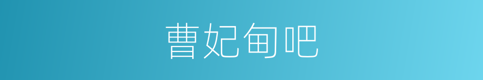 曹妃甸吧的同义词