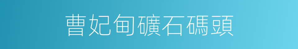 曹妃甸礦石碼頭的同義詞