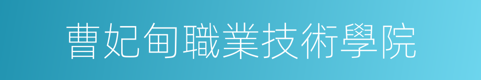 曹妃甸職業技術學院的同義詞