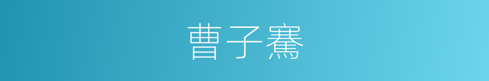 曹子騫的同義詞