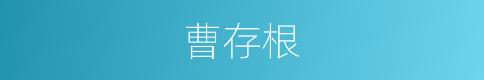 曹存根的同义词
