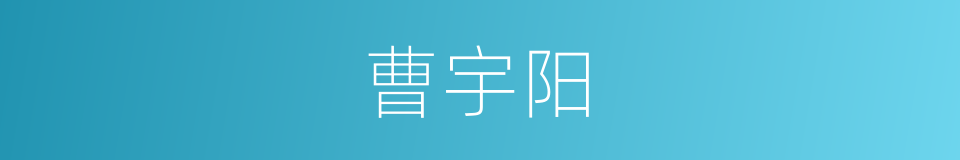 曹宇阳的同义词