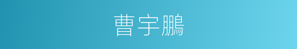 曹宇鵬的同義詞