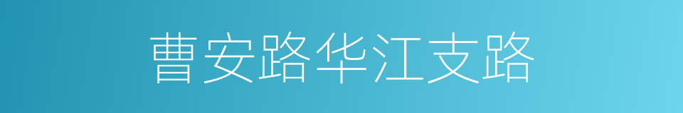 曹安路华江支路的同义词