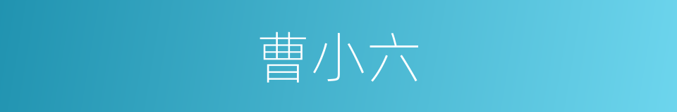 曹小六的同义词