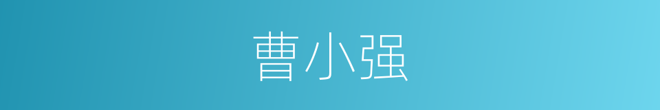 曹小强的同义词