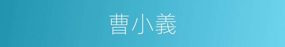 曹小義的同義詞
