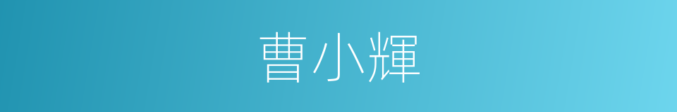 曹小輝的同義詞