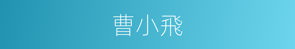 曹小飛的同義詞