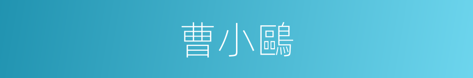 曹小鷗的同義詞
