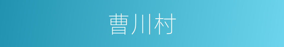 曹川村的同义词