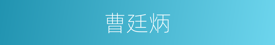 曹廷炳的同义词