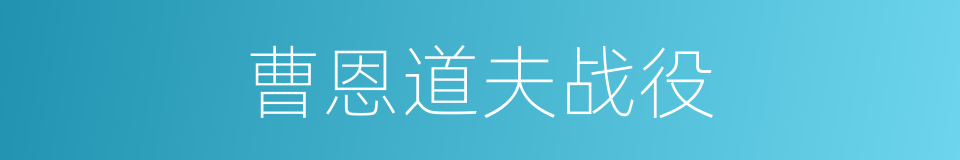 曹恩道夫战役的同义词