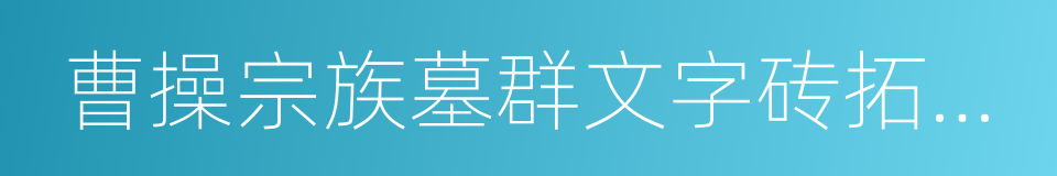 曹操宗族墓群文字砖拓片全国巡展的同义词