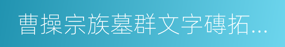 曹操宗族墓群文字磚拓片全國巡展的同義詞