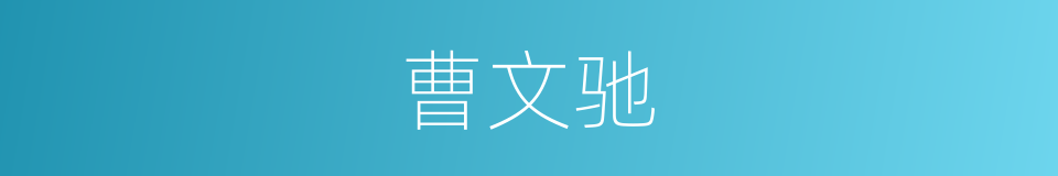 曹文驰的同义词
