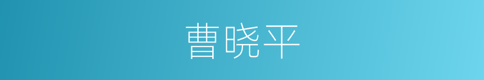曹晓平的同义词