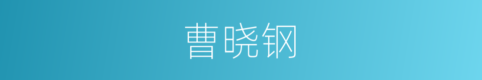 曹晓钢的同义词