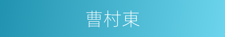 曹村東的同義詞