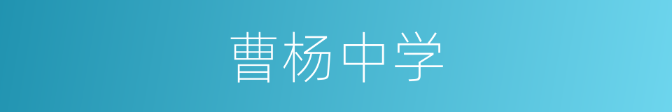 曹杨中学的同义词