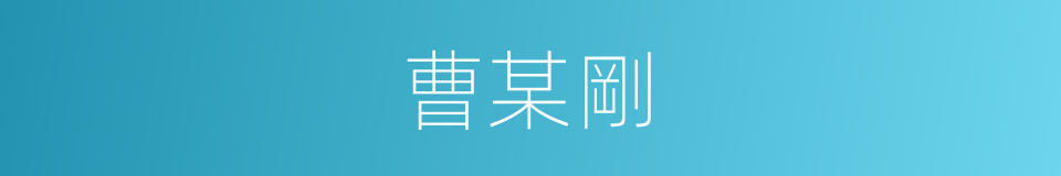 曹某剛的同義詞